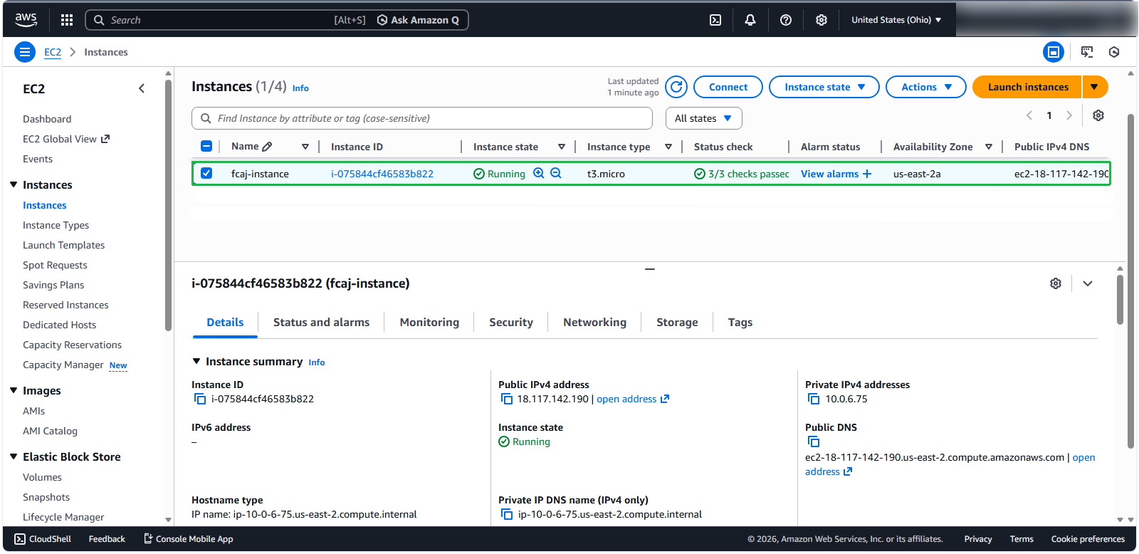 Instance Launch Confirmation