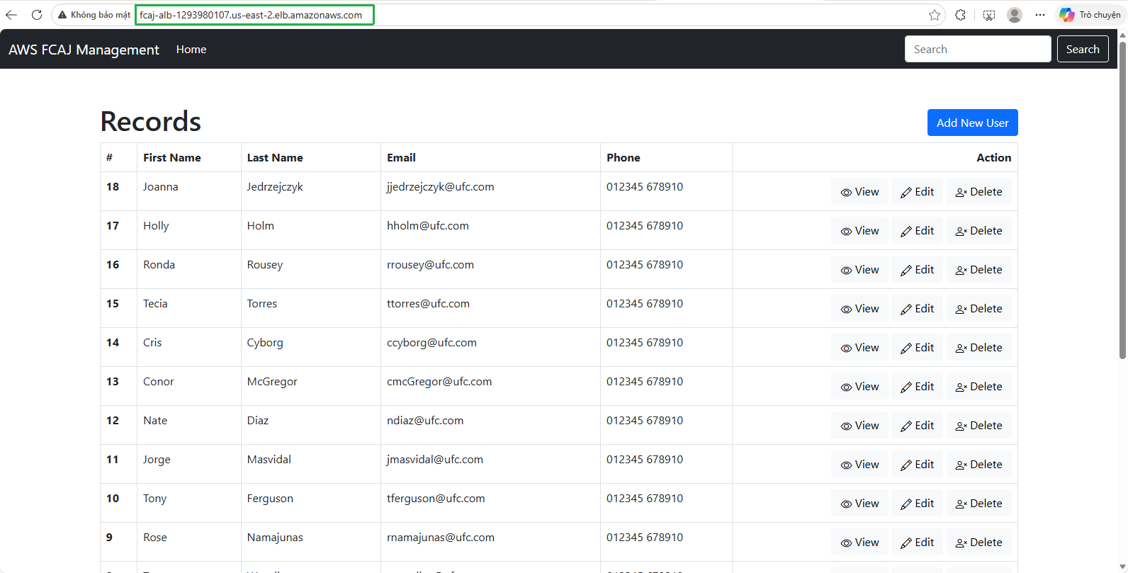 Application Interface