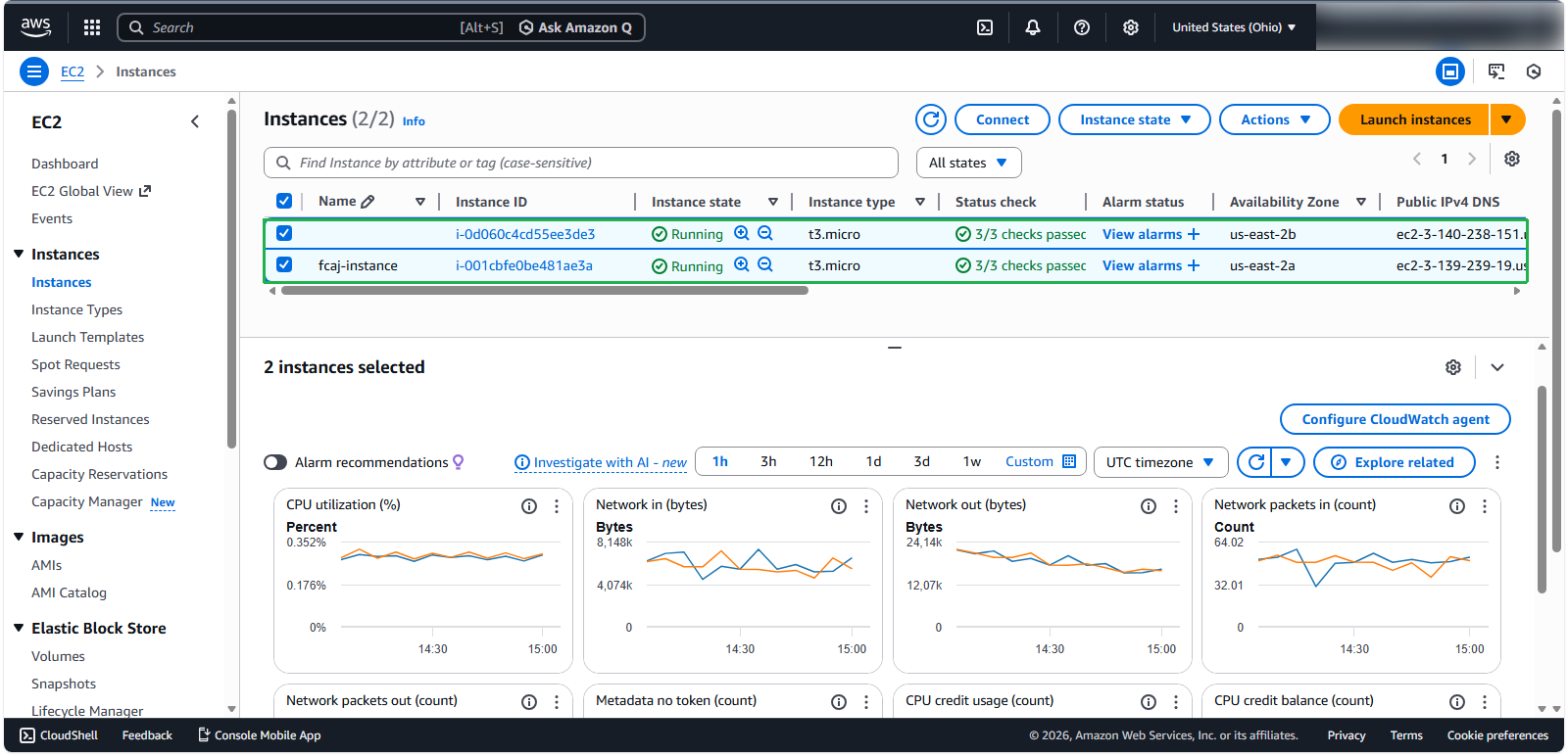 Initial Performance Metrics