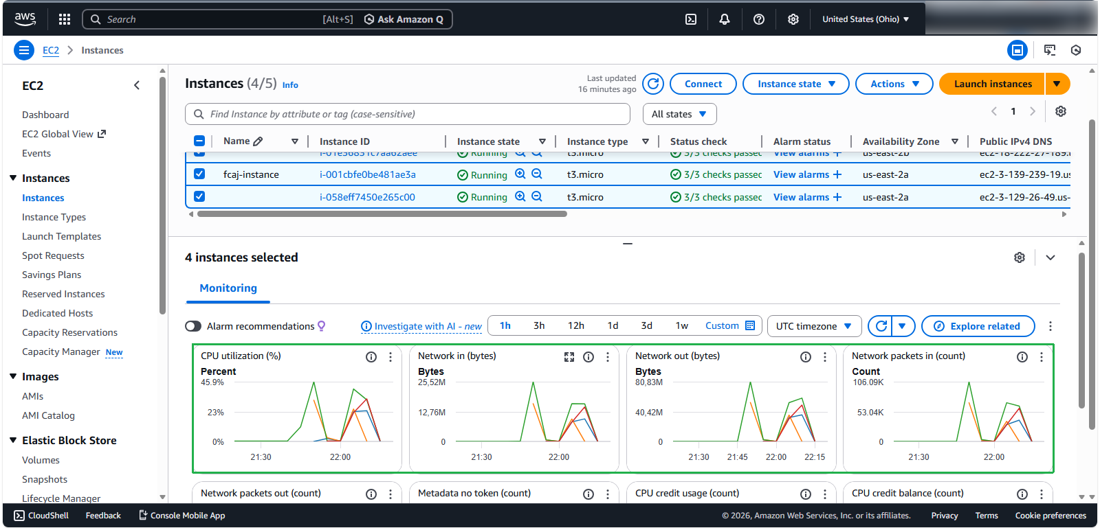 Multi-Instance Performance Metrics